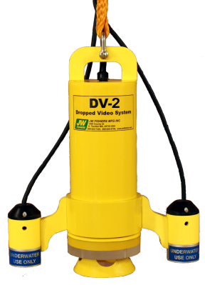 Image of a DV2