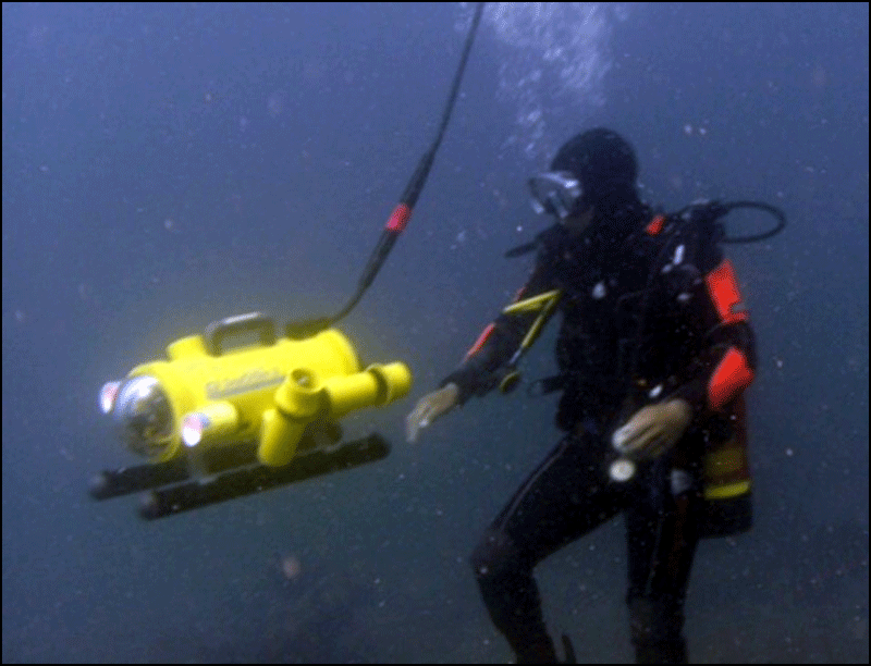 SeaOtter-2 tracking diver