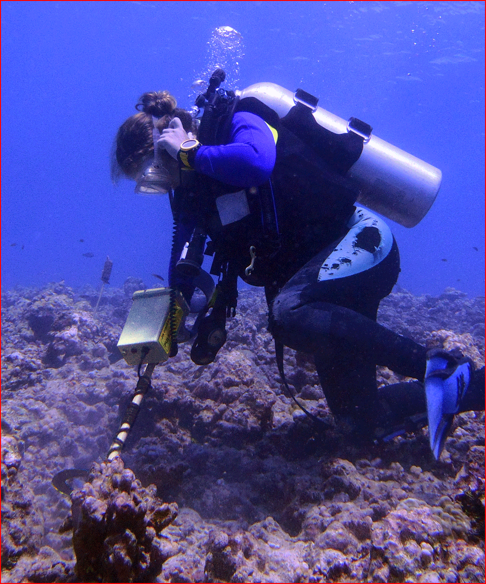 Working a Reef with the Pulse 8X