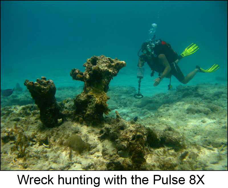 Wreck hunting with the Pulse 8X