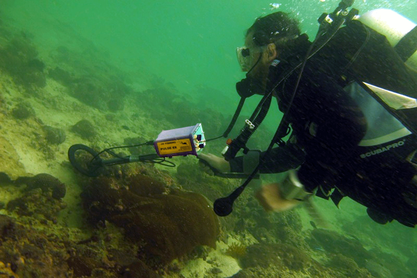 Working the wreck site with the Pulse 8X