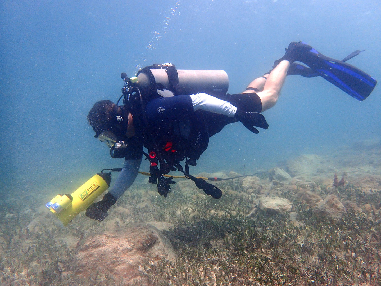 Diver Held Camera DHC-2 in action